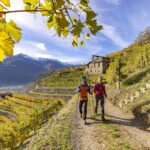 Valtellina, l’autunno racconta una montagna patrimonio di saperi e sapori