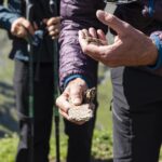 Giornata Internazionale della Geodiversità in Valtellina